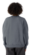 Load image into Gallery viewer, SWEATER PÅNDA