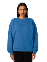 Load image into Gallery viewer, ONÉ LÅB HOODIE / unisex
